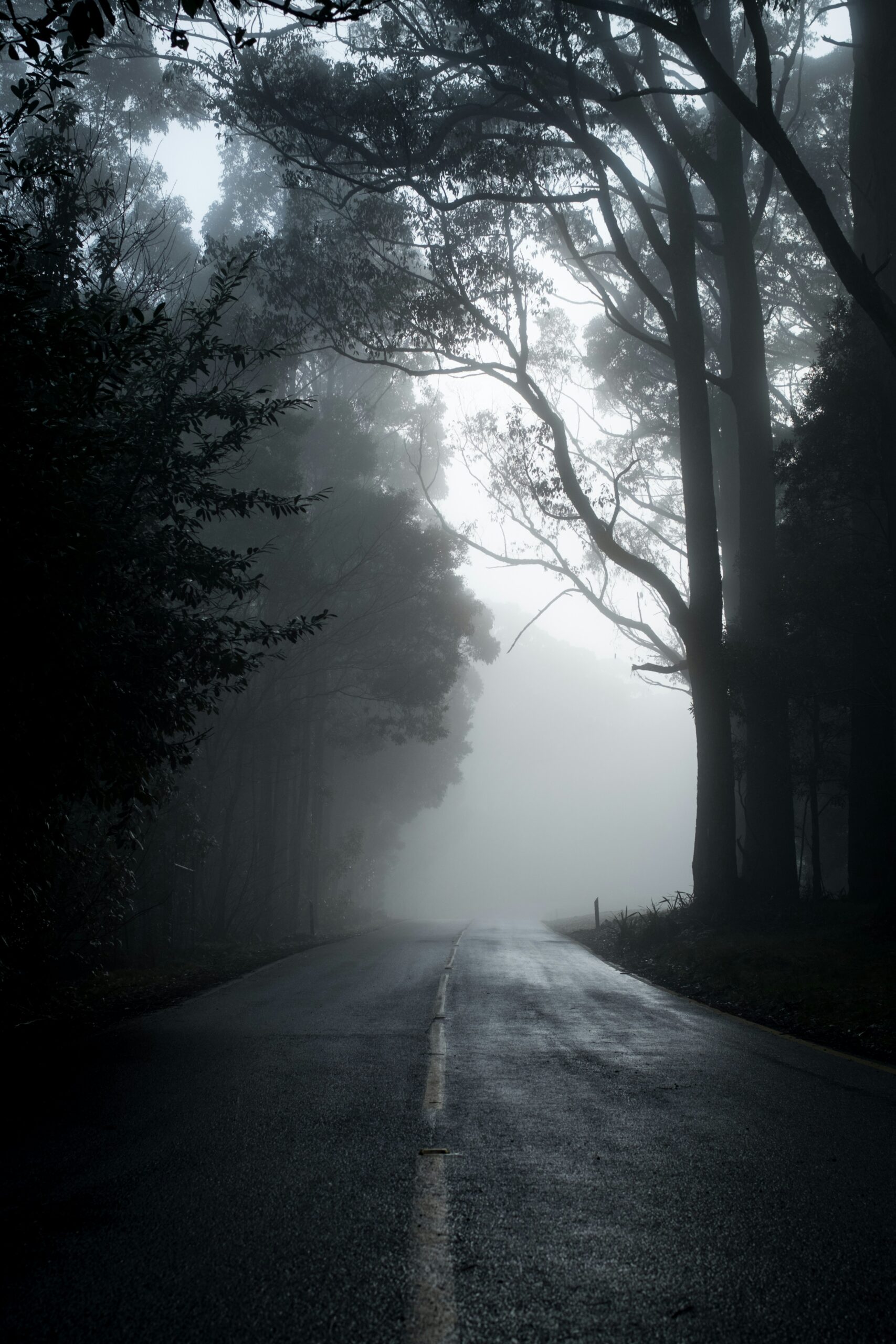 michael-mouritz-WXX_DhjlmD4-unsplash